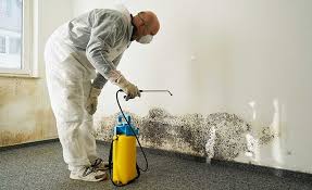 Mayo, SC Mold Removal & Remediation Company